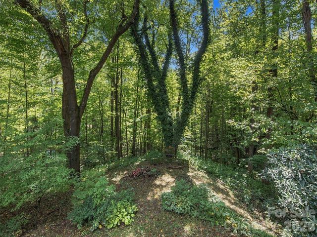 151 Tiger Lily Lane, Waynesville, NC 28786