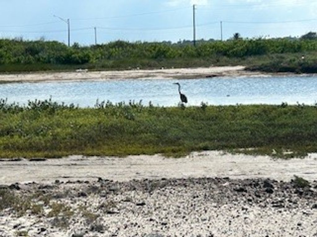 133 Knickerbocker, Corpus Christi, TX 78418 — photo 5
