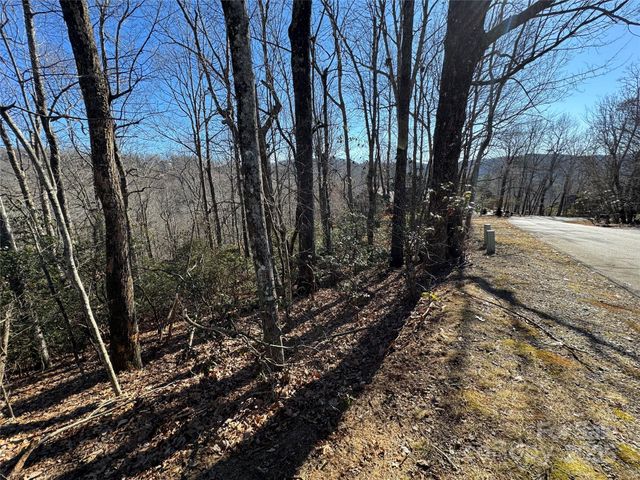 Lot 19 Udoque Court, Brevard, NC 28712
