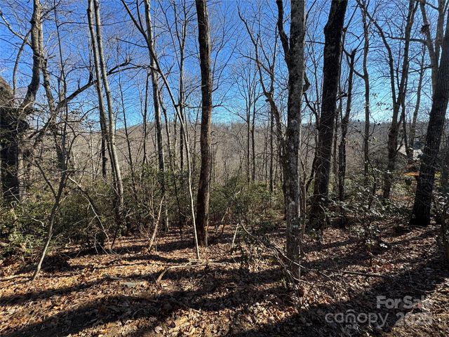 Lot 19 Udoque Court, Brevard, NC 28712