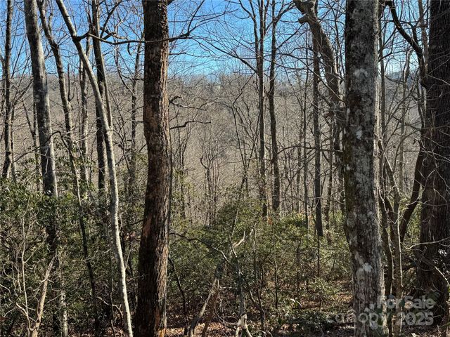 Lot 19 Udoque Court, Brevard, NC 28712