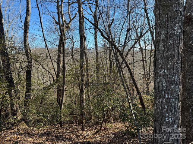 Lot 19 Udoque Court, Brevard, NC 28712