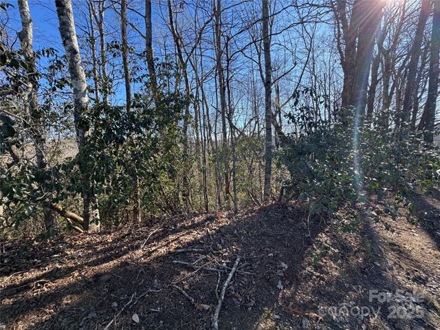 Lot 19 Udoque Court, Brevard, NC 28712