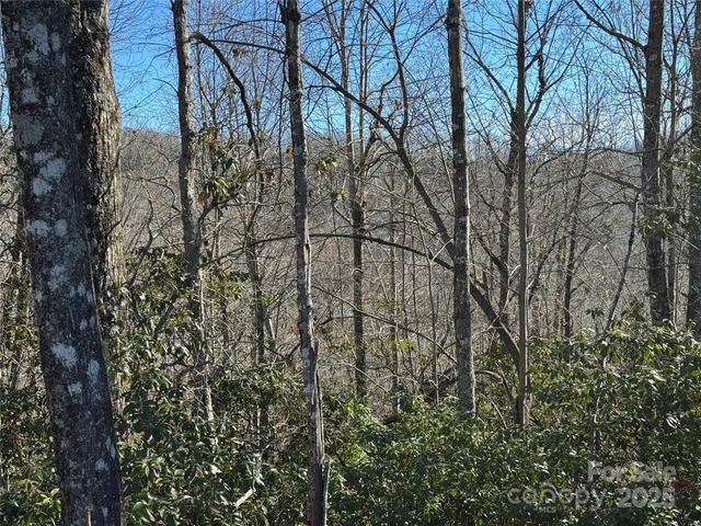 Lot 19 Udoque Court, Brevard, NC 28712