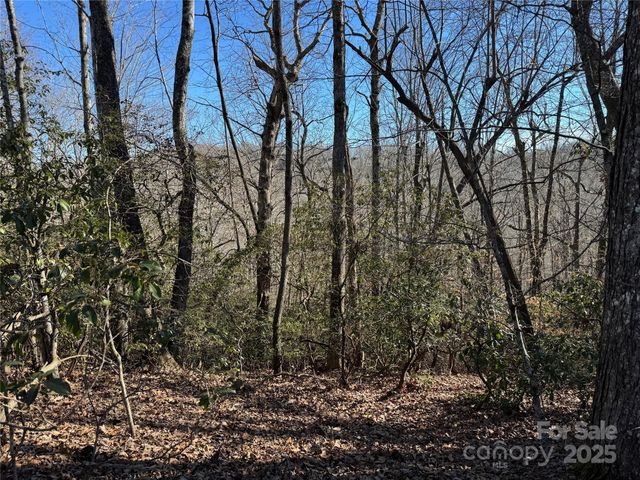 Lot 19 Udoque Court, Brevard, NC 28712