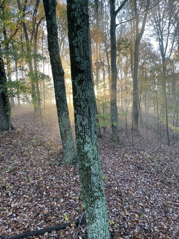 4828 Harpeth Peytonsville Rd, Thompsons Station, TN 37179