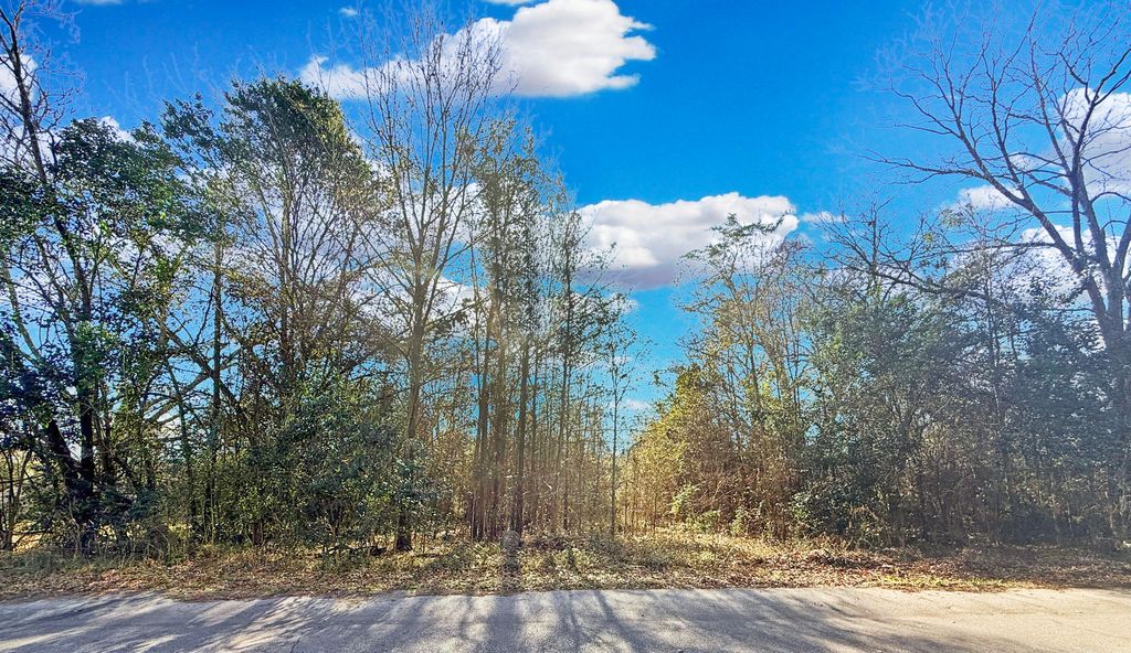 Image 1 of property listing at 475 Coleman Avenue, Orangeburg, SC 29115