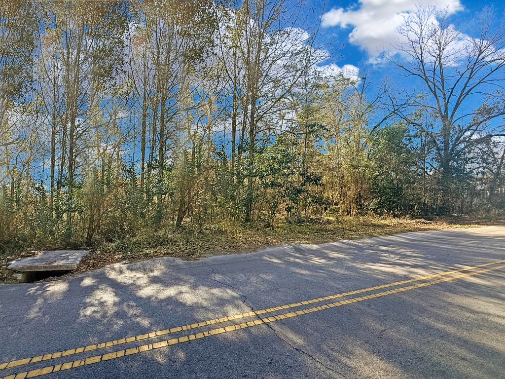 Image 2 of property listing at 475 Coleman Avenue, Orangeburg, SC 29115