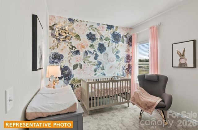 4239 Ruth Creek Court, Charlotte, NC 28216