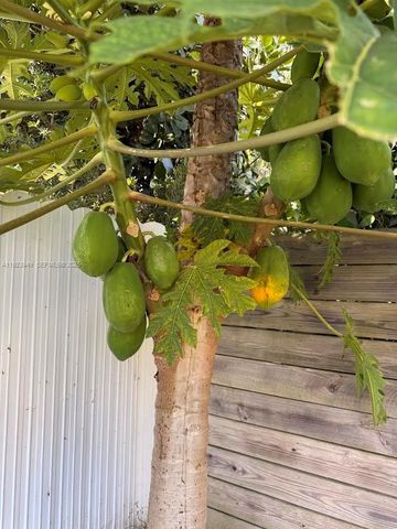 30660 SW 193rd Ave, Homestead, FL 33030