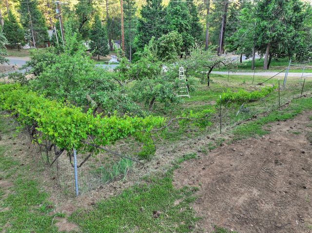 5421 Shooting Star Rd, Pollock Pines, CA 95726