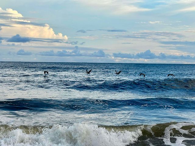 2001 S Ocean Blvd. # 417, Myrtle Beach, SC 29577