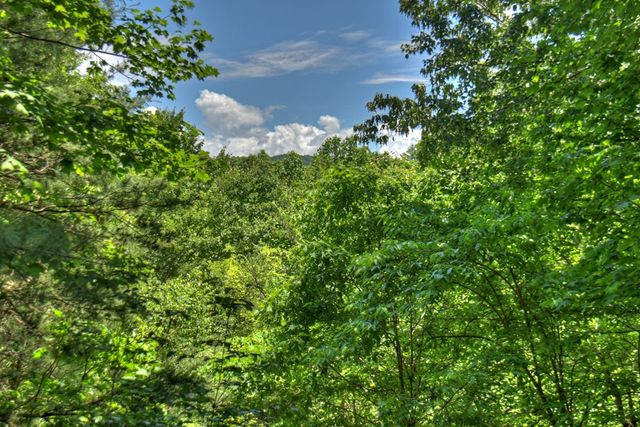 92 Cherry Lake Drive, Blue Ridge, GA 30513