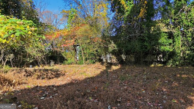 133 Blue Ridge Avenue, Demorest, GA 30535