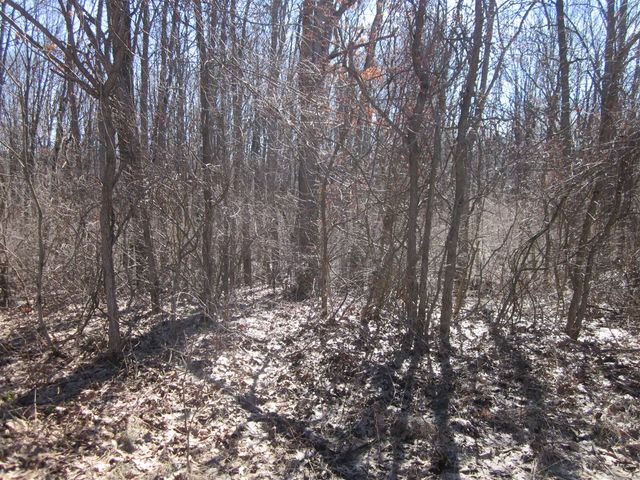 25261 44th Avenue, Mattawan, MI 49071