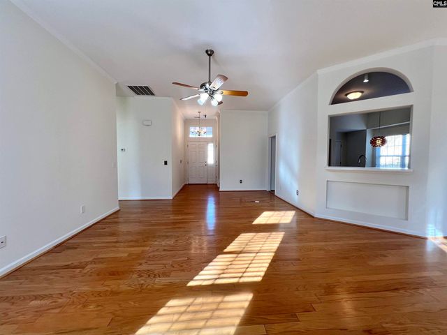 213 Moyer Drive, Chapin, SC 29036