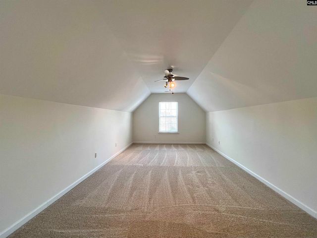 213 Moyer Drive, Chapin, SC 29036