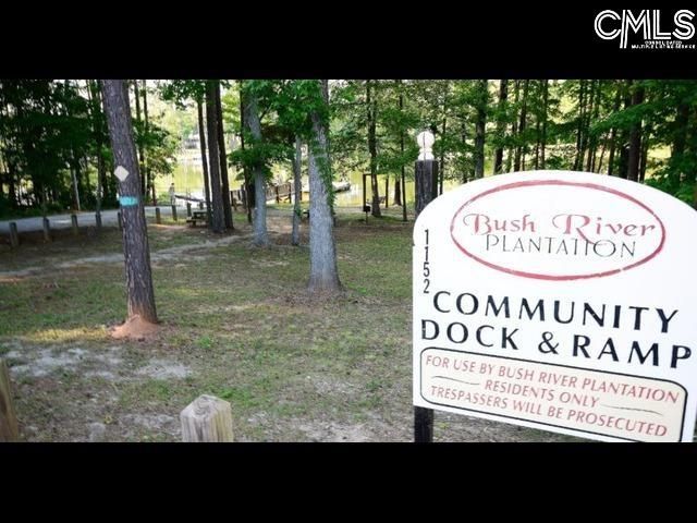 213 Moyer Drive, Chapin, SC 29036