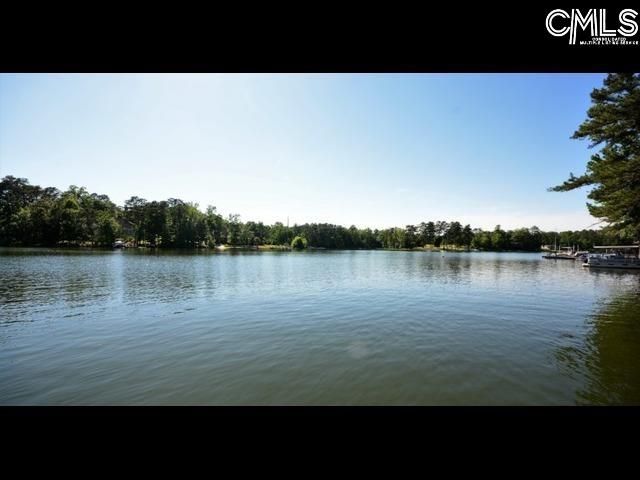 213 Moyer Drive, Chapin, SC 29036