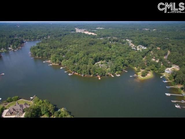 213 Moyer Drive, Chapin, SC 29036