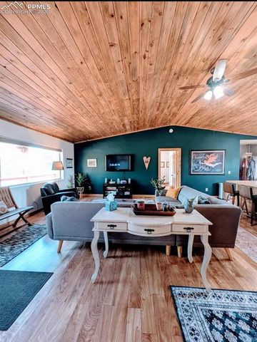 23 Nimbus Lane, Florissant, CO 80816
