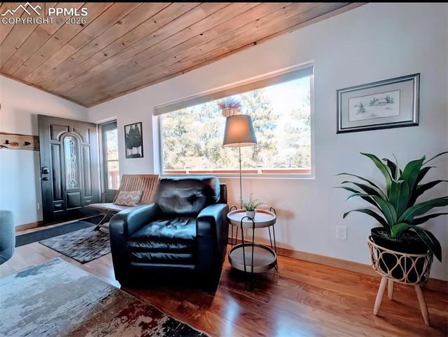 23 Nimbus Lane, Florissant, CO 80816