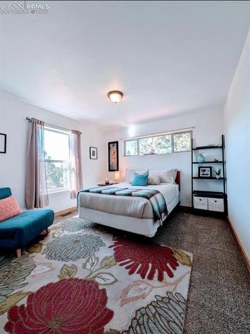 23 Nimbus Lane, Florissant, CO 80816