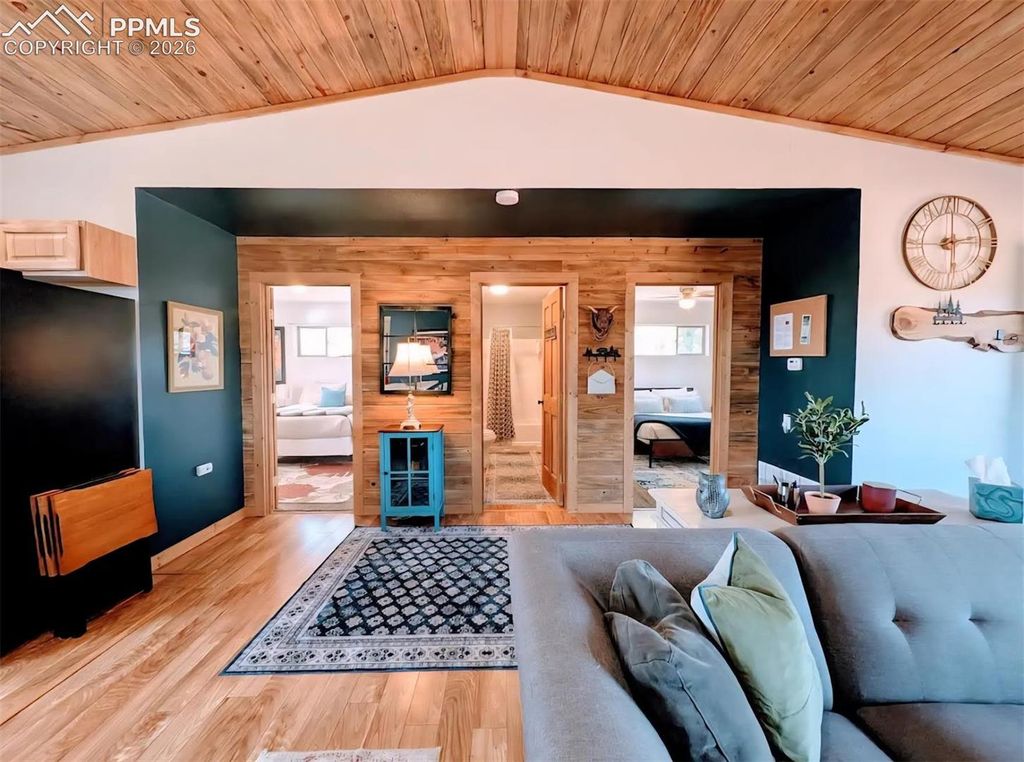 23 Nimbus Lane, Florissant, CO 80816 — photo 3