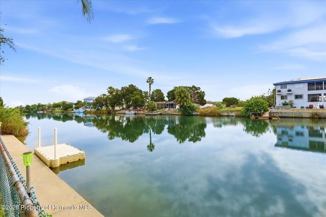 3294 Gardenia Drive, Hernando Beach, FL 34607