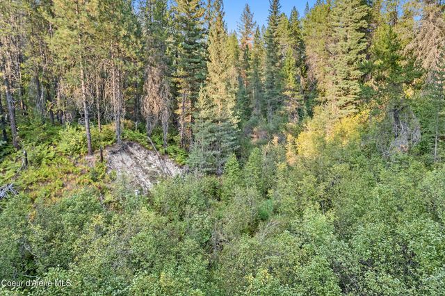 171 Beaver Pond Trl, Priest River, ID 83856