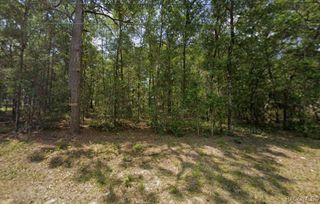 4823 E Bow N Arrow Loop, Inverness, FL 34452