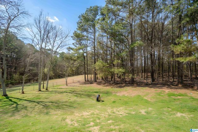 3324 COON CREEK ROAD, Empire, AL 35063