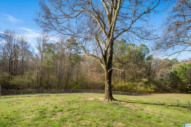 3324 COON CREEK ROAD, Empire, AL 35063