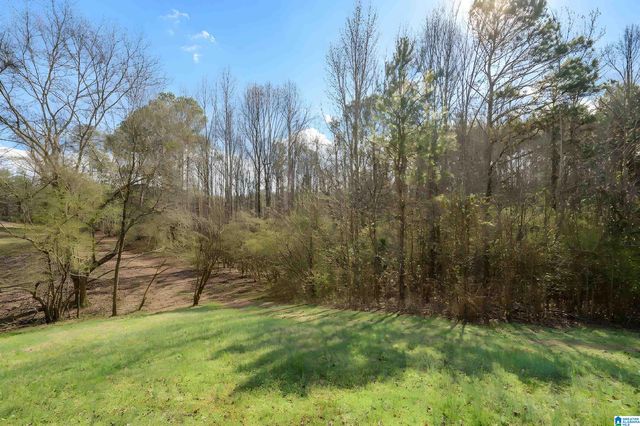 3324 COON CREEK ROAD, Empire, AL 35063