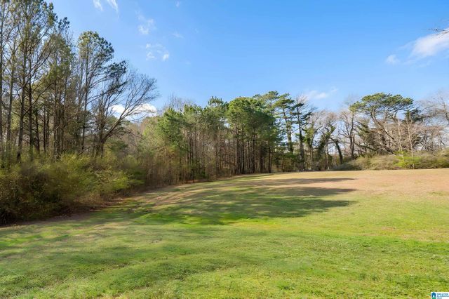 3324 COON CREEK ROAD, Empire, AL 35063