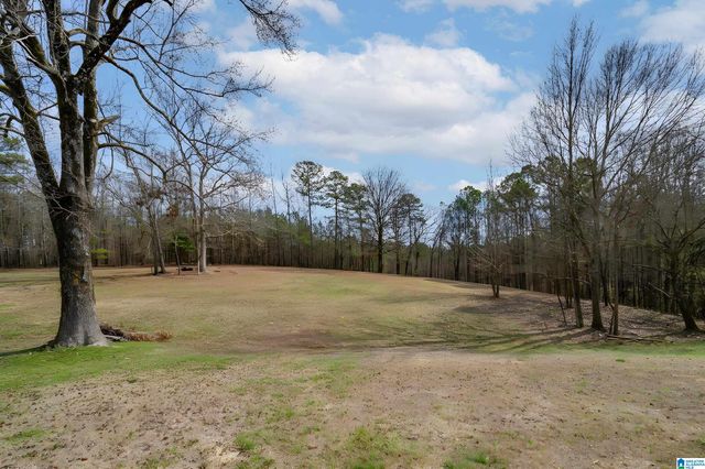 3324 COON CREEK ROAD, Empire, AL 35063