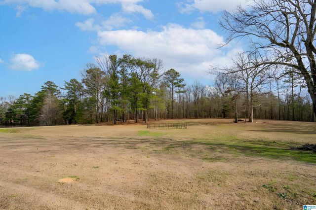 3324 COON CREEK ROAD, Empire, AL 35063