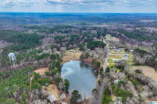 3324 COON CREEK ROAD, Empire, AL 35063