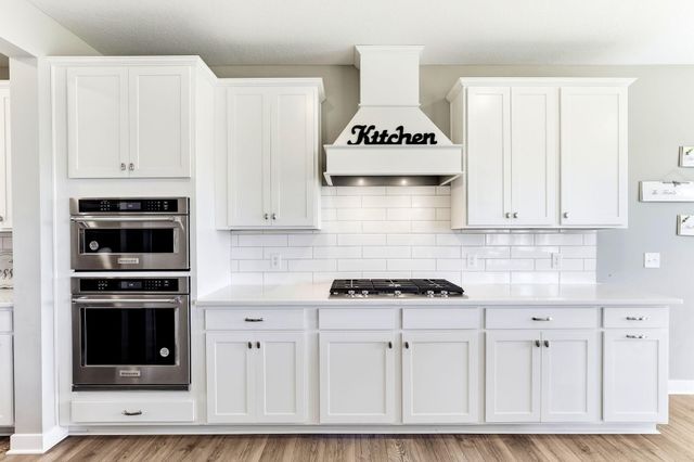 16206 Europa Avenue N, Hugo, MN 55038