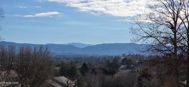 729 Clydesdale Ave, Seymour, TN 37865