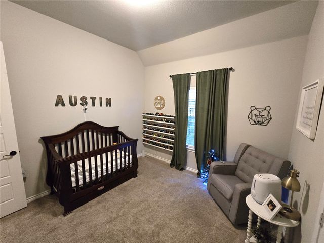 1441 Grassy Meadows Drive, Burleson, TX 76058