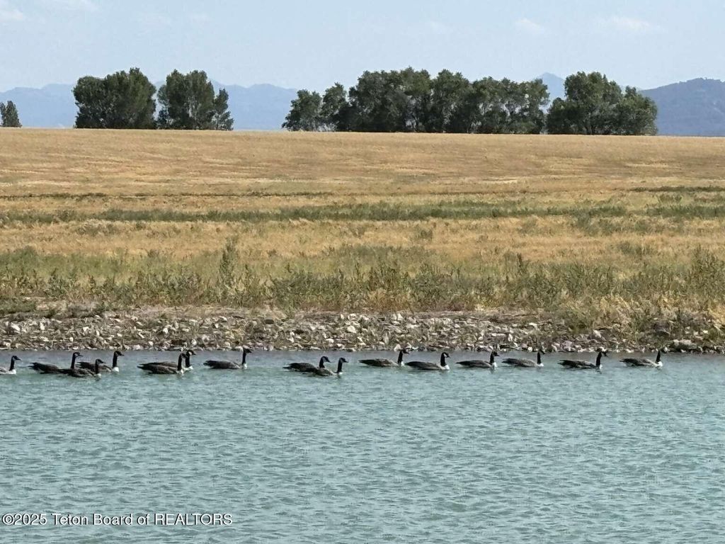 4245 N 8000 W, Tetonia, ID 83452 photo 17