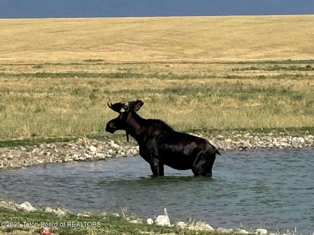 4245 N 8000 W, Tetonia, ID 83452 photo 18