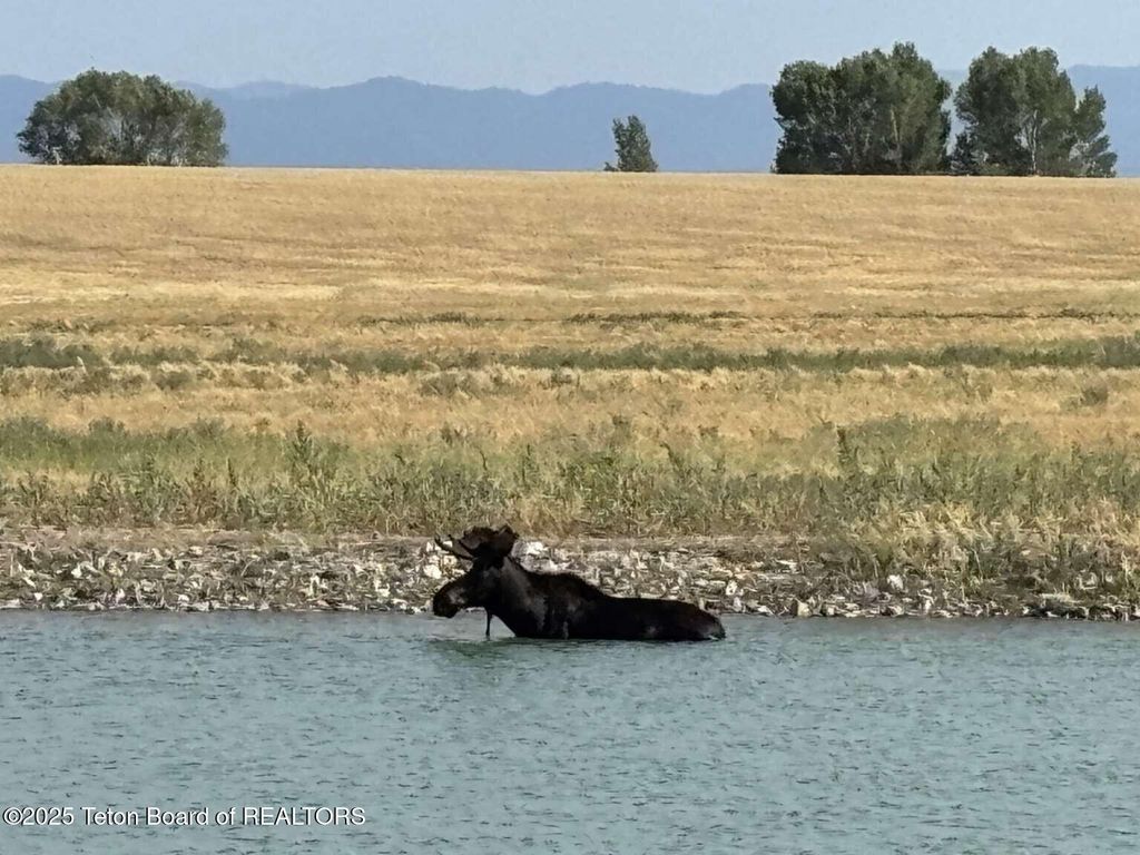 4245 N 8000 W, Tetonia, ID 83452 photo 19