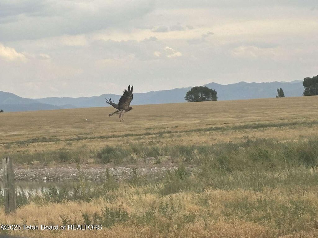 4245 N 8000 W, Tetonia, ID 83452 photo 20