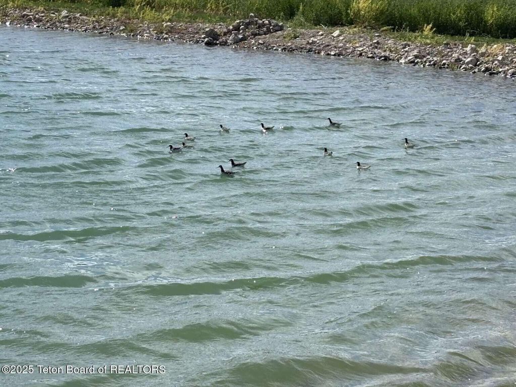 4245 N 8000 W, Tetonia, ID 83452 photo 21