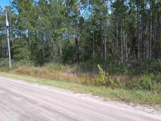 10520 Beckenger Ave, Hastings, FL 32145