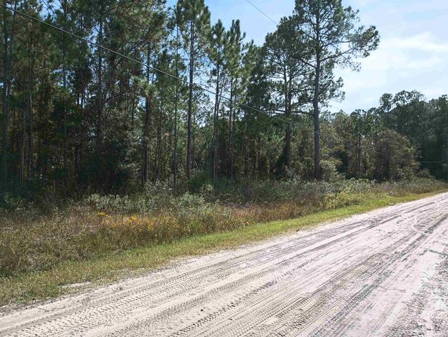 10520 Beckenger Ave, Hastings, FL 32145