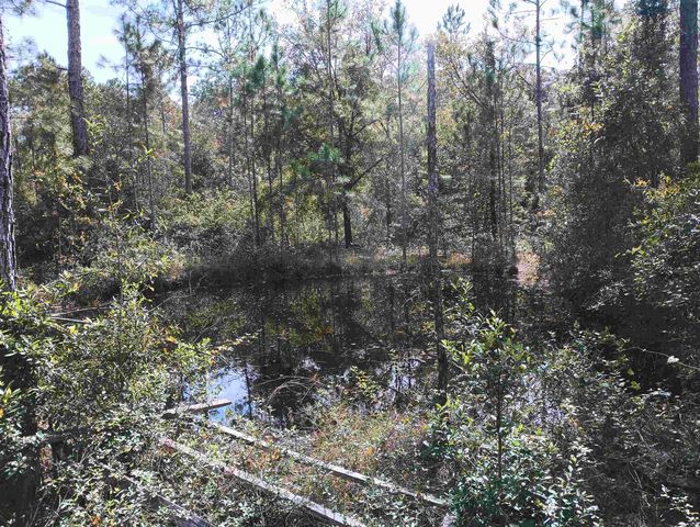 10520 Beckenger Ave, Hastings, FL 32145