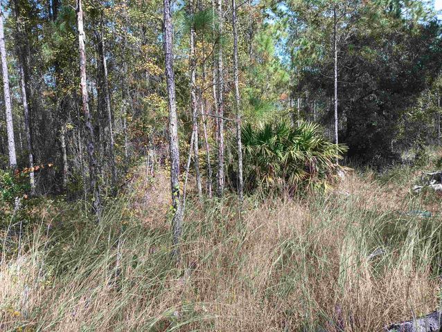 10520 Beckenger Ave, Hastings, FL 32145